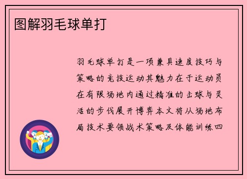 图解羽毛球单打