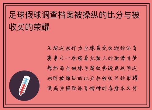 足球假球调查档案被操纵的比分与被收买的荣耀